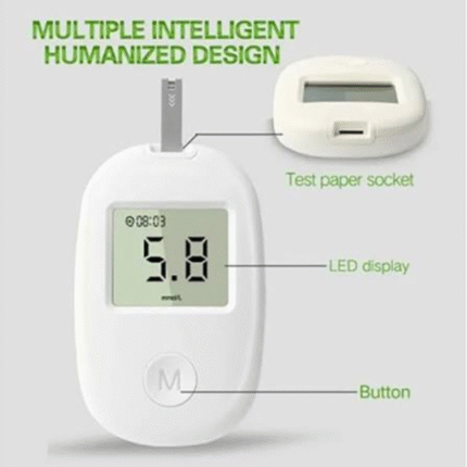 Blood Glucose Monitoring System (Model G-111)