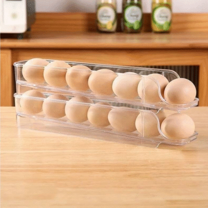 Egg Fridge Storage Box