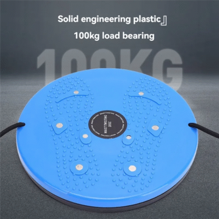 Magnetic Waist Twisting Disc
